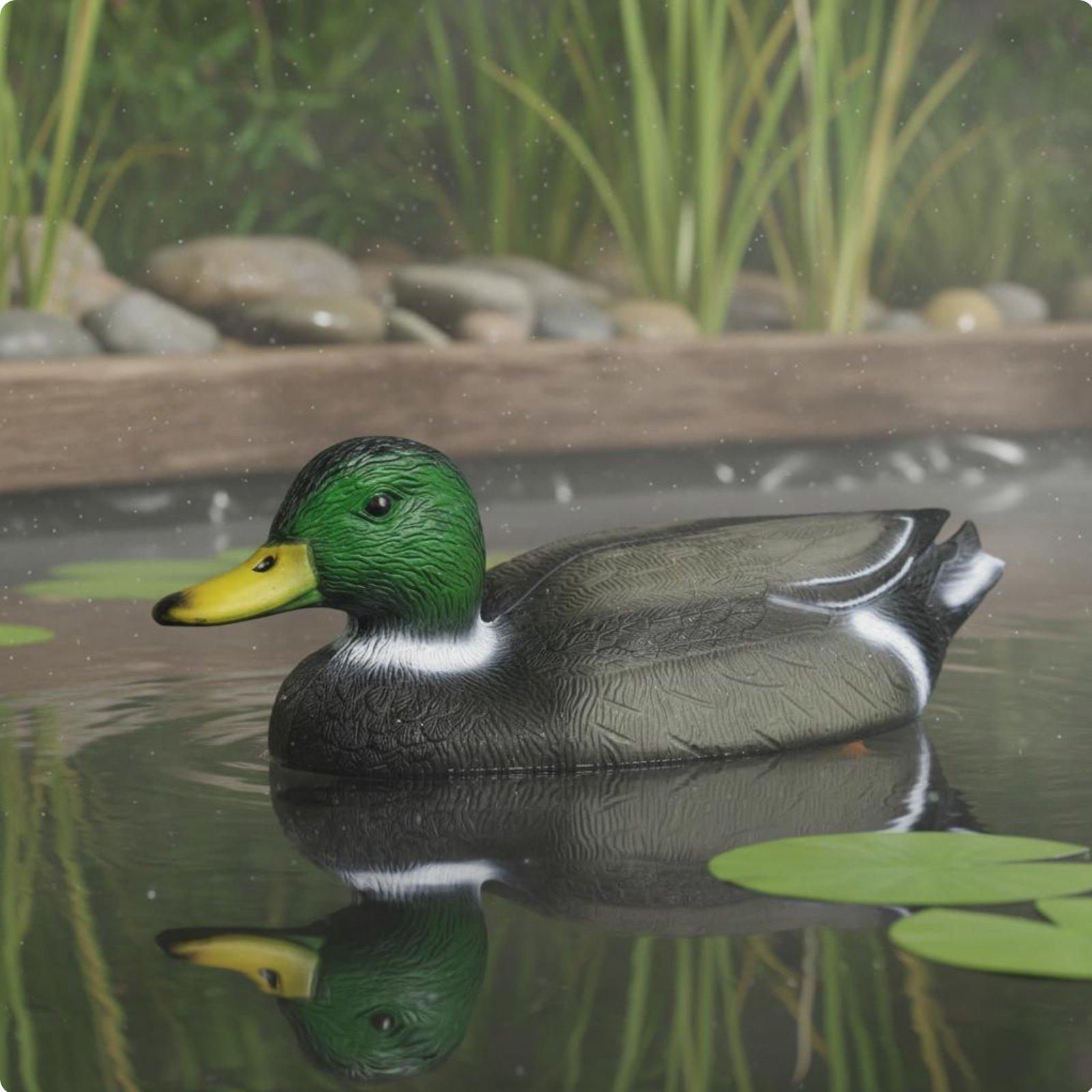 Floating Duck Decoy Realistic  - đánh giá và giá Hunting & Outdoor Supplies Carterton Reviews